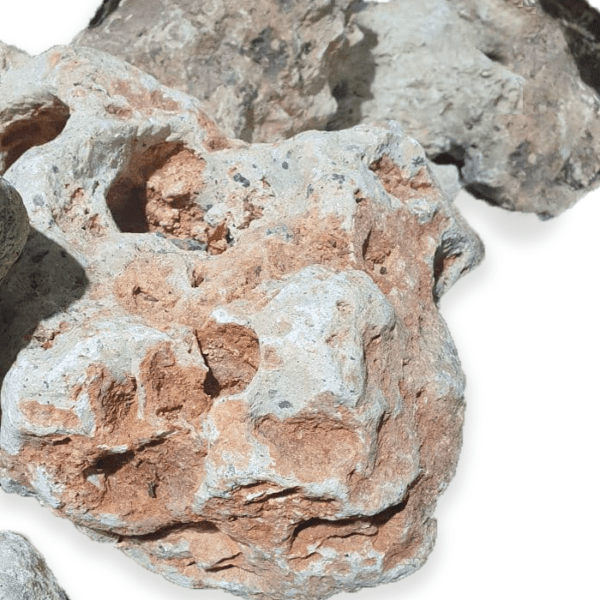Песчаник Крымский (L 13-30 см)
