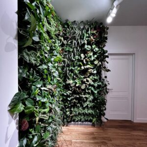 Стены вертикального озеленения готовый комплект