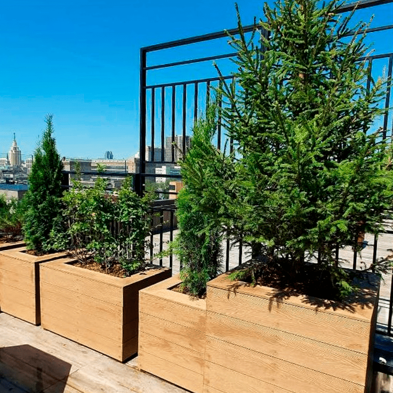 Озеленение террасы в квартире