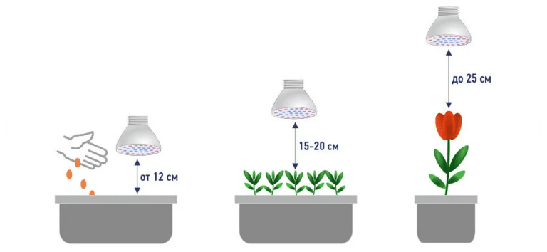 Ультрафиолетовые лампы для растений