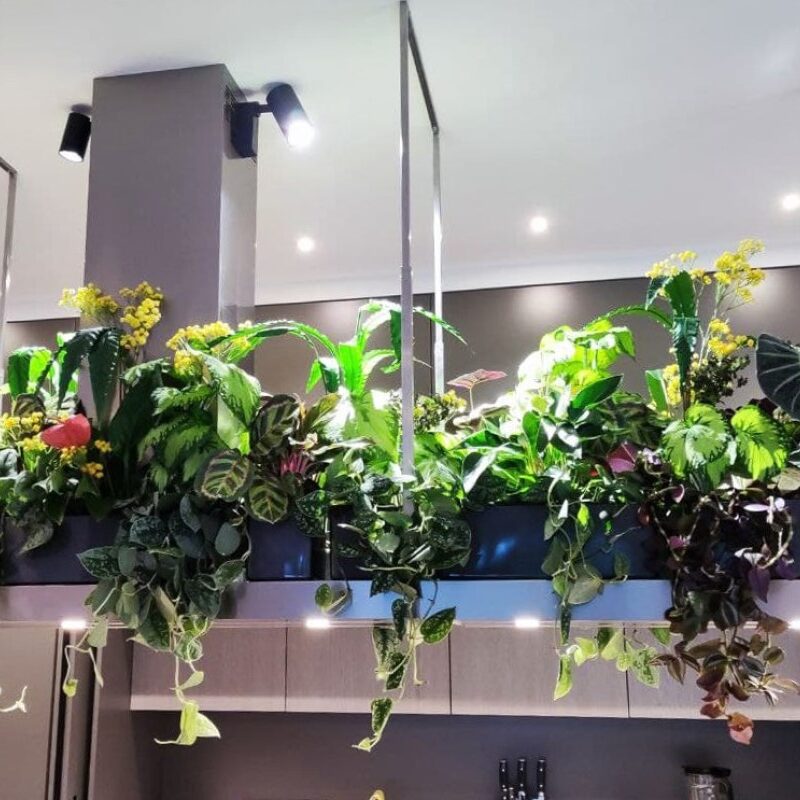 Композиции из живых и искусственных растений для кухни