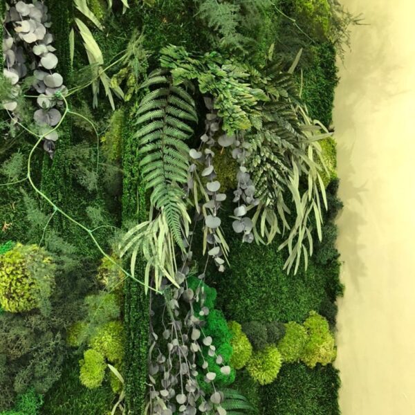 стена из стабилизированных растений