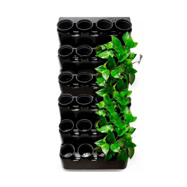 Фитомодуль «BOXSAND 24» (60*127 см) на 24 растения, круглые полки - черный