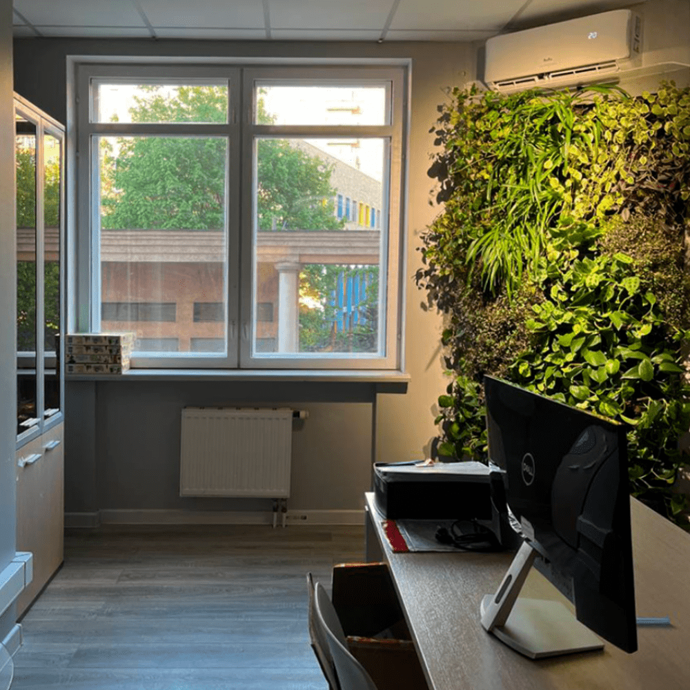 озеленение офиса мхом и живыми растениями