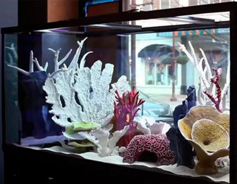 сухой аквариум